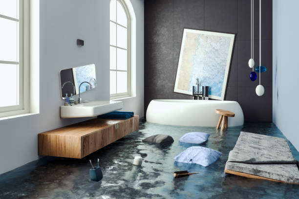 Best Professional water damage repair  in Pacolet, SC