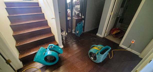 Best 24-hour water damage restoration  in Pacolet, SC
