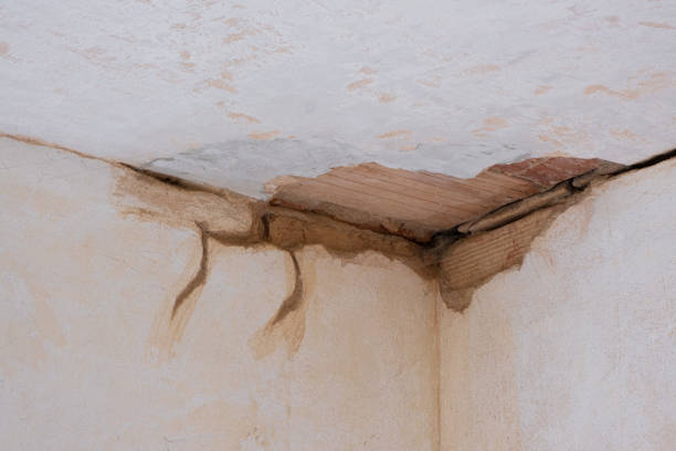 Trusted Pacolet, SC Water damage restoration Experts