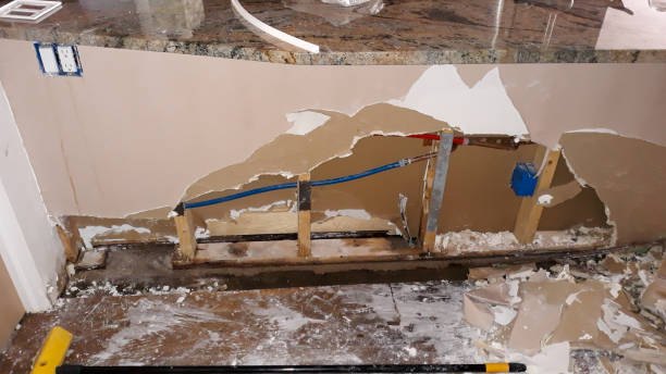 Best Flood damage cleanup  in Pacolet, SC