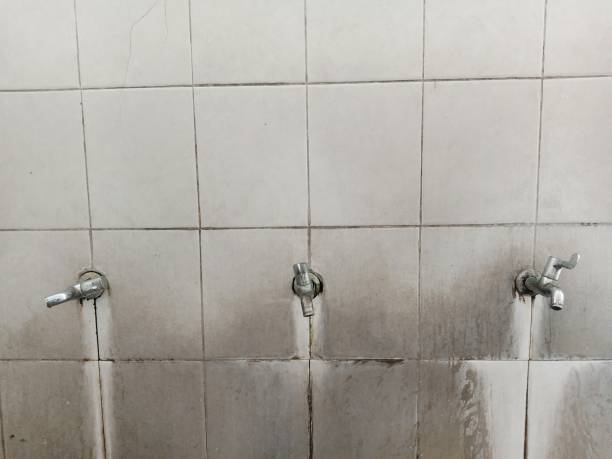 Best Flood restoration services  in Pacolet, SC